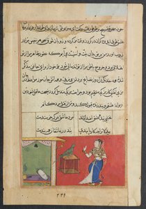 Page from Tales of a Parrot Tuti-nama: Forty-seventh Night: The Parrot Addresses Khujasta by Unbekannt