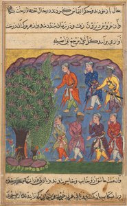 Page from Tales of a Parrot Tuti-nama: Sixth Night: Seven Men Disputing Possession by Unbekannt