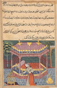 Page from Tales of a Parrot Tuti-nama: Thirty-seventh Night: The Parrot Addresses Khujasta