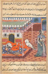 Page from Tales of a Parrot Tuti-nama: Thirty-sixth Night: The King Dreams of a Lady