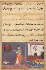 Page from Tales of a Parrot Tuti-nama: Twenty-fifth Night: The Parrot Addresses Khujasta by Unbekannt