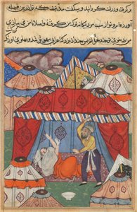Page from Tales of a Parrot Tuti-nama: Twenty-fourth night: The disguised Arab