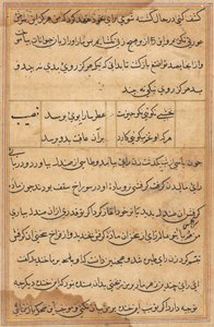 Page from Tales of a Parrot Tuti-nama: text page by Unbekannt
