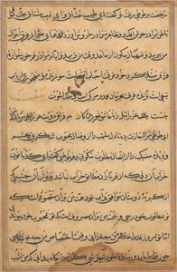 Page from Tales of a Parrot Tuti-nama: text page by Unbekannt