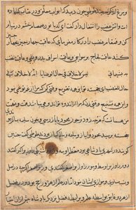 Page from Tales of a Parrot Tuti-nama: Text Page by Unbekannt