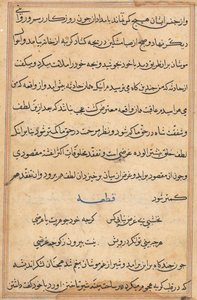 Page from Tales of a Parrot Tuti-nama: text page by Unbekannt