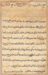 Page from Tales of a Parrot Tuti-nama: text page, c. 1560 by Unbekannt