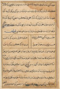 Page from Tales of a Parrot Tuti-nama: text page by Unbekannt
