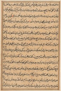 Page from Tales of a Parrot Tuti-nama: text page by Unbekannt
