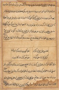 Page from Tales of a Parrot Tuti-nama: text page, c. 1560 by Unbekannt