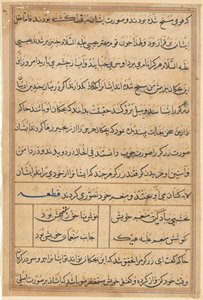 Page from Tales of a Parrot Tuti-nama: Text Page by Unbekannt