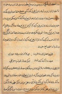 Page from Tales of a Parrot Tuti-nama: Text Page, c. 1560 by Unbekannt