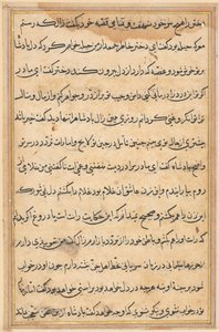 Page from Tales of a Parrot Tuti-nama: text page by Unbekannt