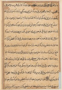 Page from Tales of a Parrot (Tuti-nama) by Unbekannt
