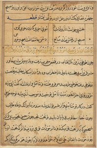 Page from Tales of a Parrot Tuti-nama: text page by Unbekannt