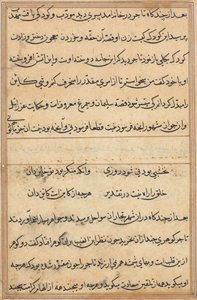 Page from Tales of a Parrot Tuti-nama: text page, c. 1560 by Unbekannt