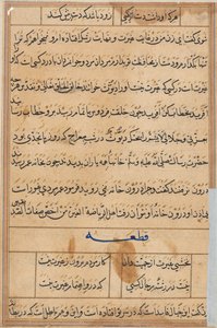 Page from Tales of a Parrot Tuti-nama: text page, c. 1560 by Unbekannt