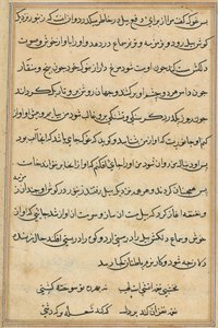Page from Tales of a Parrot Tuti-nama: Text Page by Unbekannt