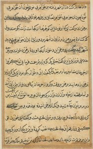Page from Tales of a Parrot Tuti-nama: text page by Unbekannt