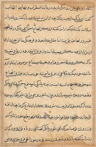 Page from Tales of a Parrot Tuti-nama: text page by Unbekannt