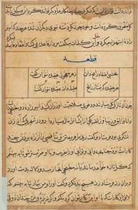 Page from Tales of a Parrot Tuti-nama: text page, c. 1560 by Unbekannt