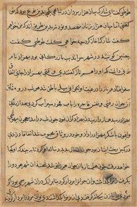Page from Tales of a Parrot Tuti-nama: text page by Unbekannt