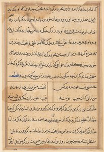 Page from Tales of a Parrot Tuti-nama: text page by Unbekannt