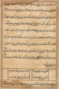 Page from Tales of a Parrot Tuti-nama: text page by Unbekannt