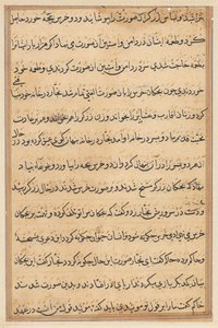 Page from Tales of a Parrot Tuti-nama: text page by Unbekannt