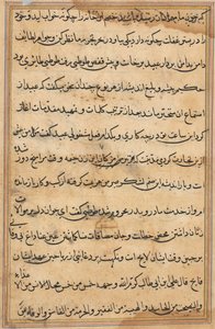 Page from Tales of a Parrot Tuti-nama: text page by Unbekannt