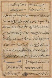 Page from Tales of a Parrot Tuti-nama: Text Page by Unbekannt
