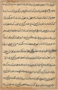Page from Tales of a Parrot Tuti-nama: text page by Unbekannt