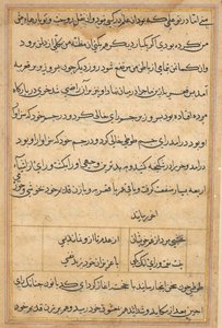 Page from Tales of a Parrot Tuti-nama: text page by Unbekannt