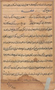 Page from Tales of a Parrot Tuti-nama: text page by Unbekannt
