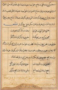 Page from Tales of a Parrot (Tuti-nama): text page by Unbekannt