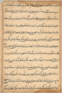 Page from Tales of a Parrot (Tuti-nama): text page by Unbekannt