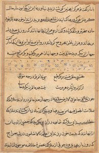 Page from Tales of a Parrot Tuti-nama: Text Page by Unbekannt