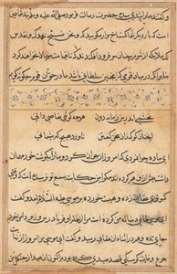 Page from Tales of a Parrot Tuti-nama: text page by Unbekannt