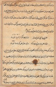 Page from Tales of a Parrot Tuti-nama: Text Page by Unbekannt