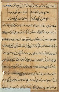 Page from Tales of a Parrot Tuti-nama: text page, c. 1560 by Unbekannt