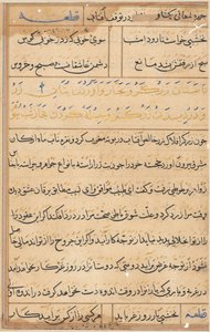 Page from Tales of a Parrot Tuti-nama: text page, c. 1560 by Unbekannt