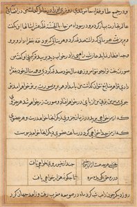 Page from Tales of a Parrot Tuti-nama: text page by Unbekannt