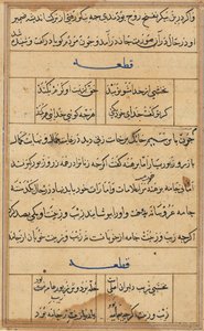 Page from Tales of a Parrot Tuti-nama: Text Page by Unbekannt