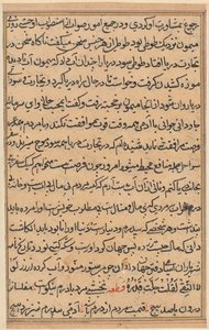 Page from Tales of a Parrot Tuti-nama: text page by Unbekannt