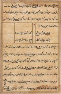 Page from Tales of a Parrot Tuti-nama: text page, c. 1560 by Unbekannt
