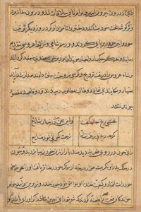 Page from Tales of a Parrot Tuti-nama: Text Page by Unbekannt