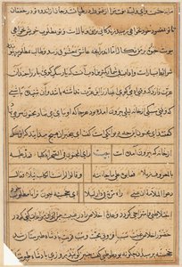Page from Tales of a Parrot Tuti-nama: Text Page by Unbekannt