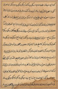 Page from Tales of a Parrot Tuti-nama: text page, c. 1560 by Unbekannt