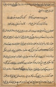 Page from Tales of a Parrot Tuti-nama: text page by Unbekannt