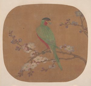 Parrot on Branch of Blossoming Tree
